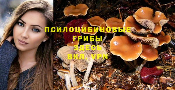 хмурый Алексин