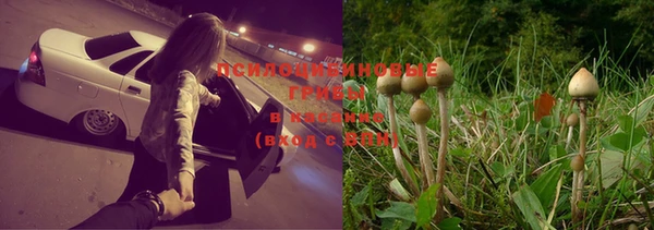 экстази Алексеевка