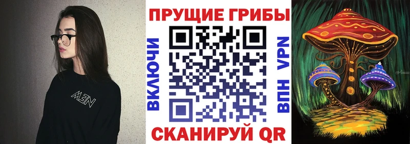 что такое   Беломорск  Псилоцибиновые грибы MAGIC MUSHROOMS 
